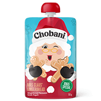 Mrs Claus Chobani pouch