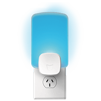 Raid Light