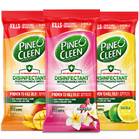 Shop Pine O Cleen wipes