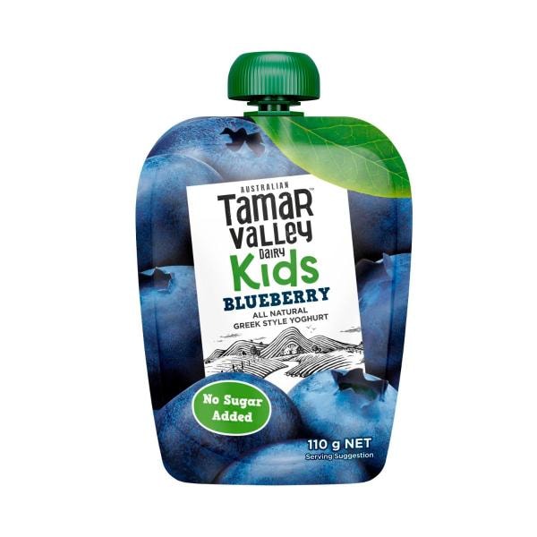 Tamar Valley Kids Greek Blueberry Yoghurt Pouch | 110g