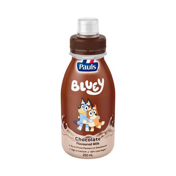 Pauls Bluey Chocolate Flavoured Milk | 250mL