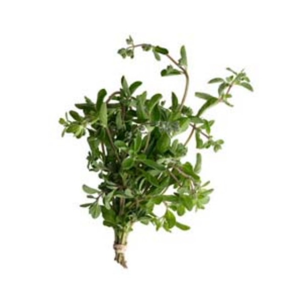 Coles Marjoram Sleeved | 1 bunch