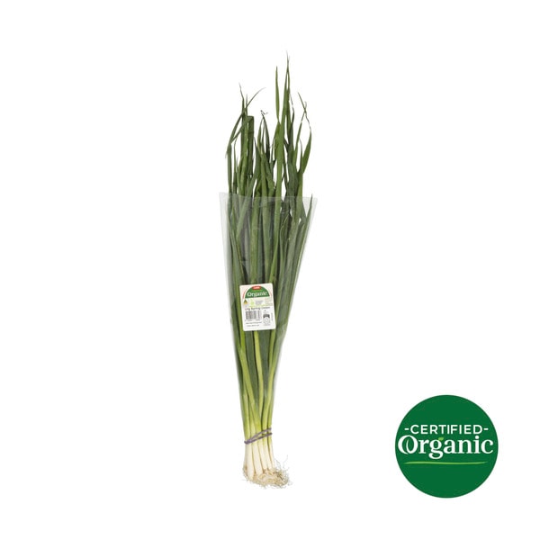 Coles Organic Spring Onions | 1 each