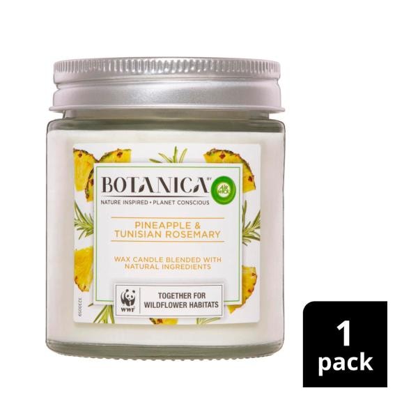 Botanica Moroccan Mint & Pink Grapefruit Candle | 1 each