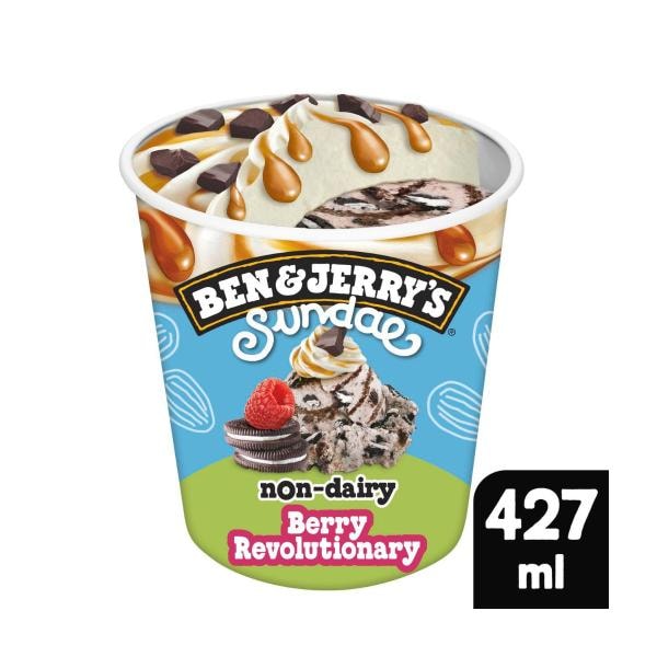 Ben & Jerrys Non Dairy Berry Revolutionry Sundae | 427mL