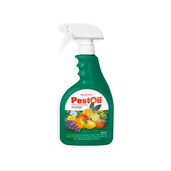 Pest Oil Insect Control Rtu | 750mL