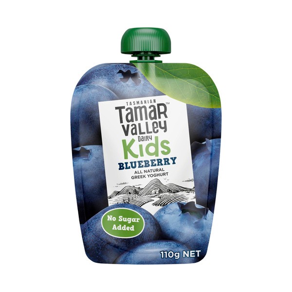 Tamar Valley Kids Greek Blueberry Yoghurt Pouch | 110g