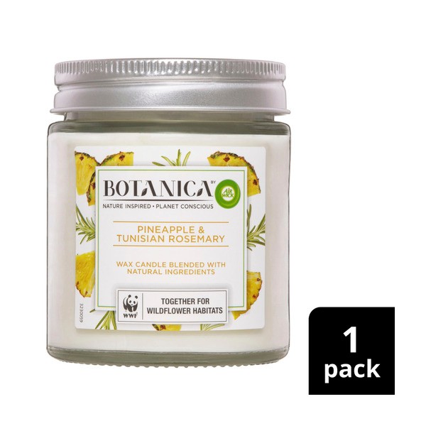 Botanica Moroccan Mint & Pink Grapefruit Candle | 1 each