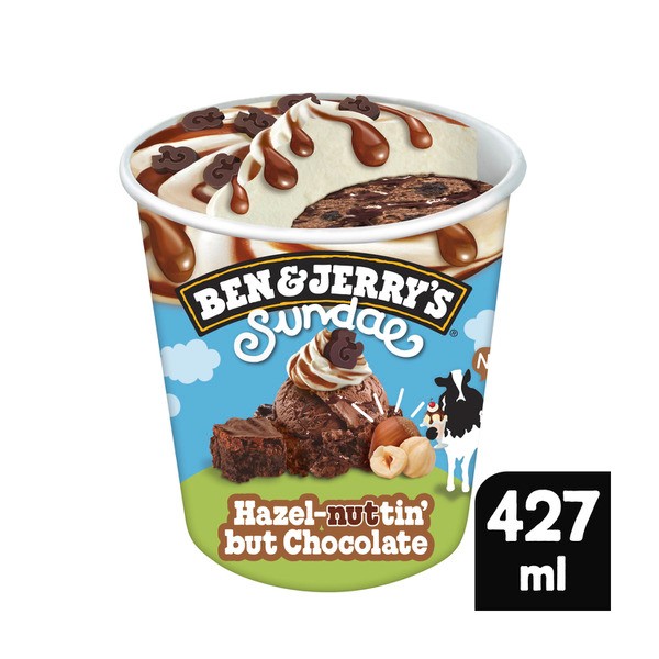 Ben & Jerrys Ice Cream Hazelnut In Chocolate Sundae | 427mL