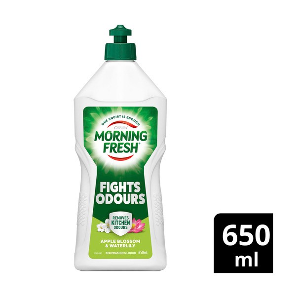 Morning Fresh Dishwashing Liquid Fights Odours | 650mL