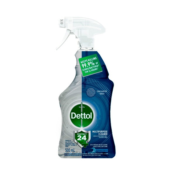 Dettol Protect 24 Hour Multipurpose Cleaning Trigger Citrus Burst | 500mL