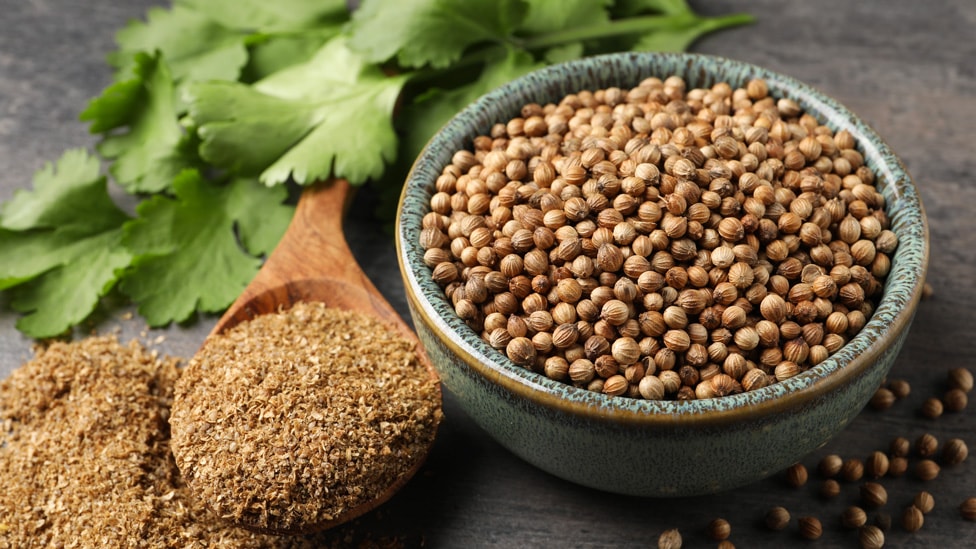 Cilantro Def What Is Cilantro? Is It The Same As Coriander In Australia? | Coles
