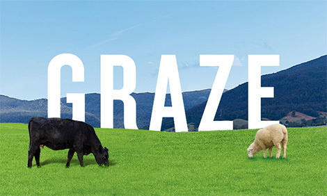 GRAZE logo in a paddock with a cow and a sheep