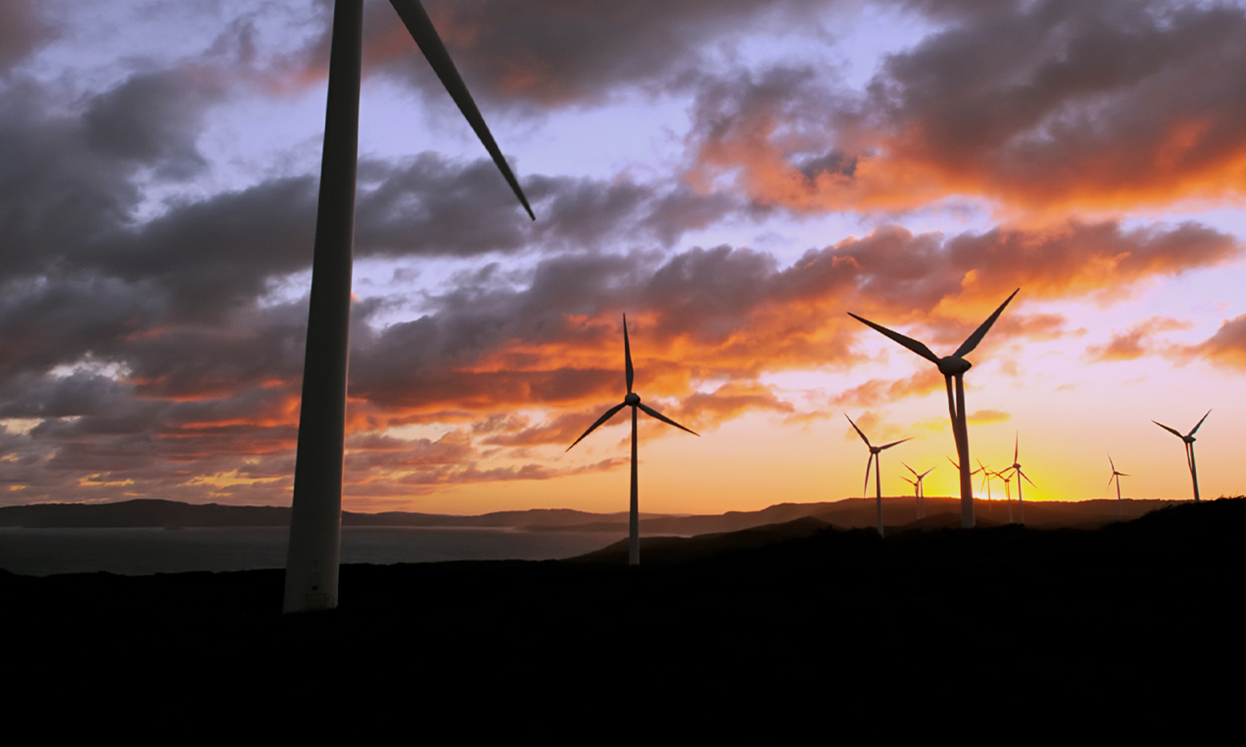 Windmills 