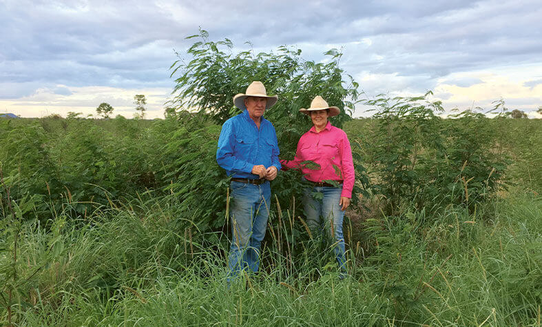Ruth and Tom Wagner from Moura Queensland in a field