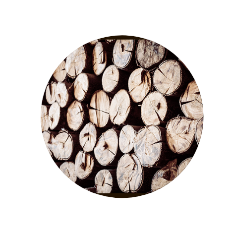 Stack of wooden tree trunks