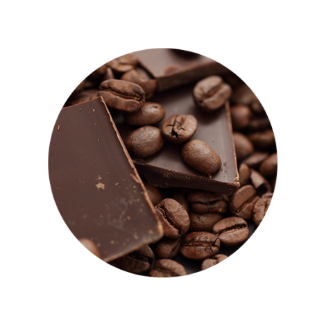pieces of chocolate and cocoa beans