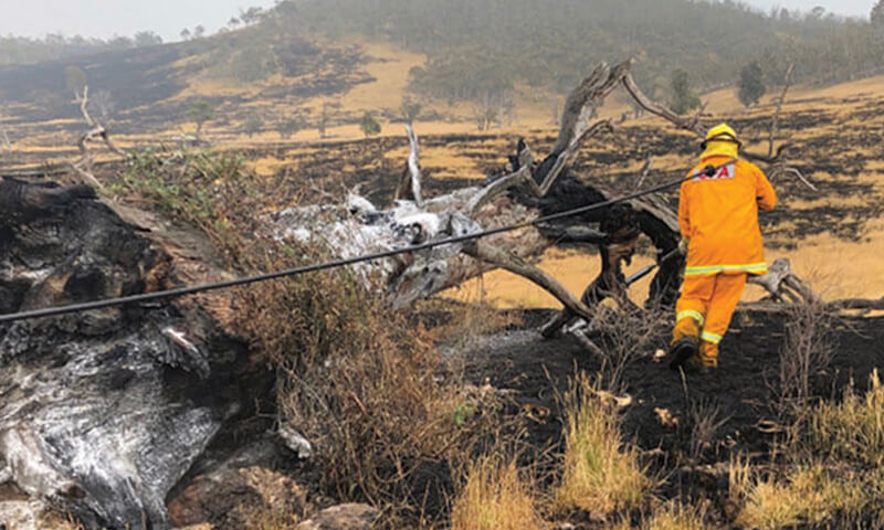 A fireman walking past a burnt tree