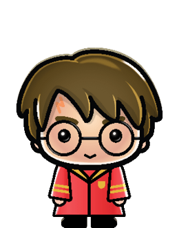 Quidditch Harry Magical Builders Character 