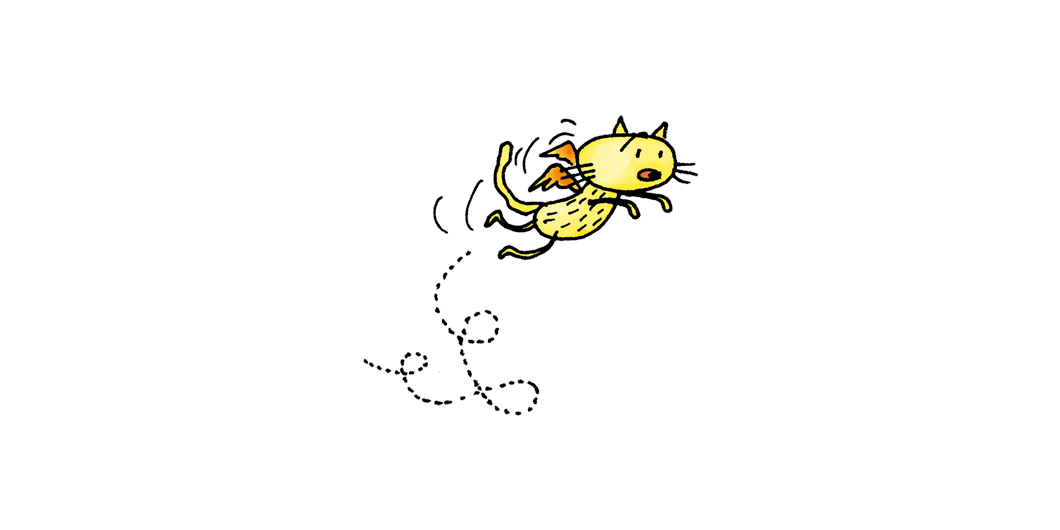 Silky the flying cat