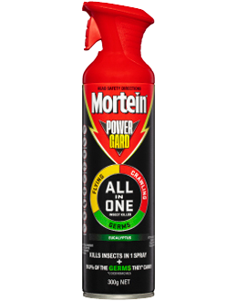 MORTEIN Powergard Spray all in one Eucalyptus 300g