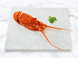 WA Rock Lobster