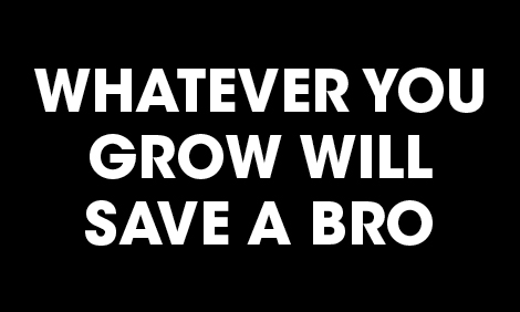 whatever you grow will save a bro