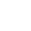 Express car wash