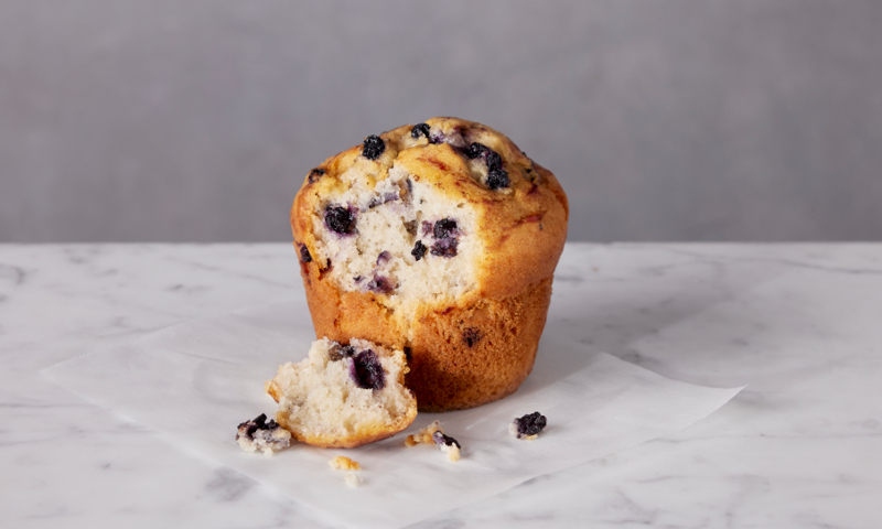 Blueberry Muffin