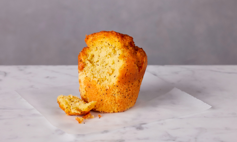 Orange Poppy Seed Muffin