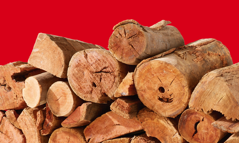 Firewood at Coles Express stores
