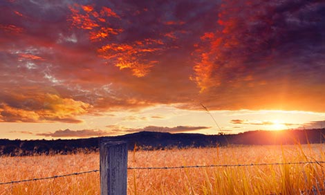 Understanding bushfire season and the risks