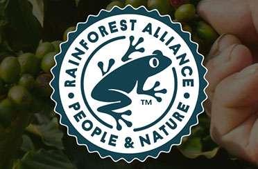 Rainforest Alliance Logo