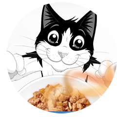 Fancy feast royale online coles