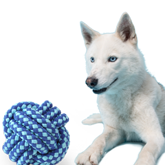Coles worming tablets dogs sales
