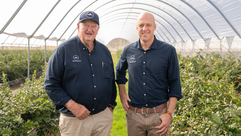 Eureka blueberry farmers