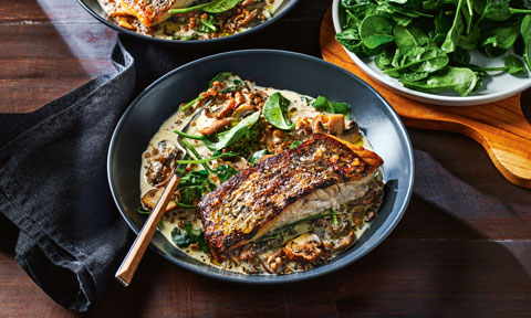 Crispy barramundi with creamy mushroom and lentils