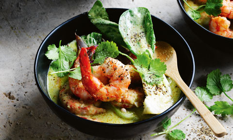 Prawn and coriander green curry