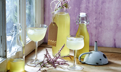 limoncello