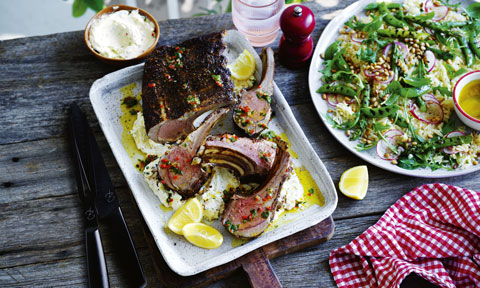 spice rubbed lamb rack with chilli labne