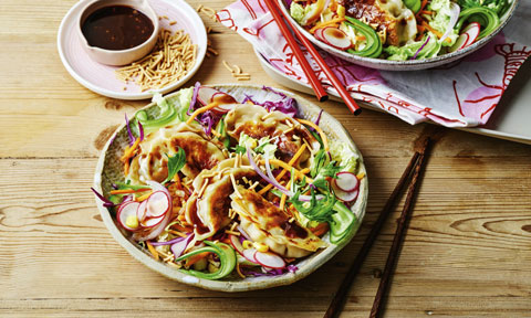 vegetarian dumpling salad