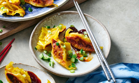 chicken and hoisin pot stickers