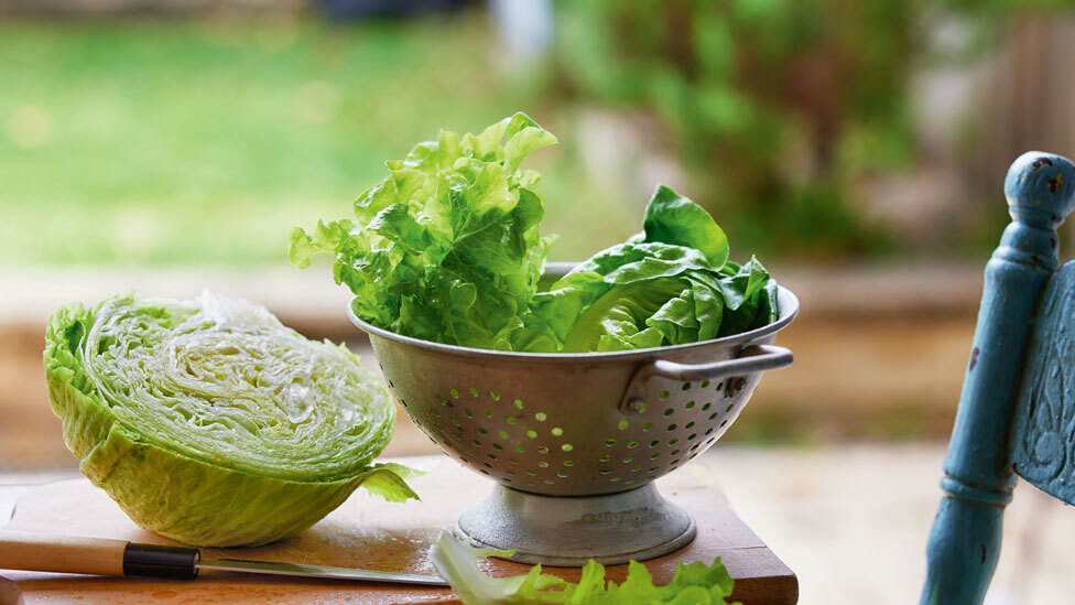 Ways to use up lettuce