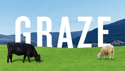 Graze cattle and lamb 