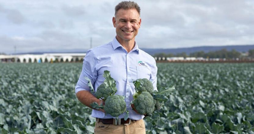 A farmer standing in a field holding a broccoli