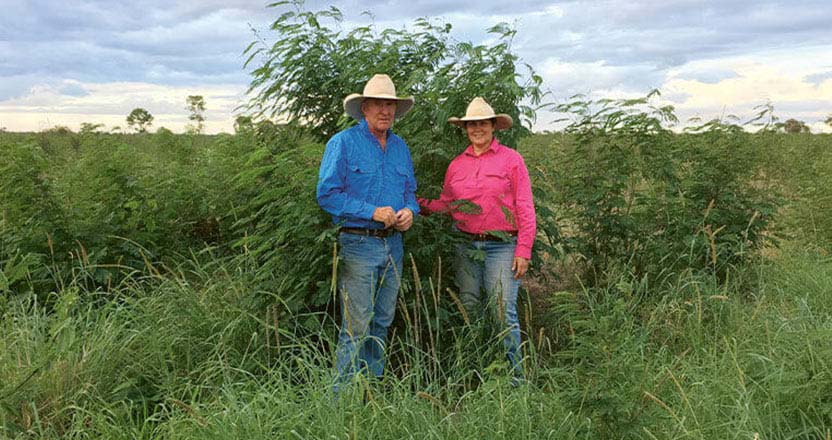 Ruth and Tom Wagner from Moura Queensland in a field