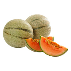 Rockmelon