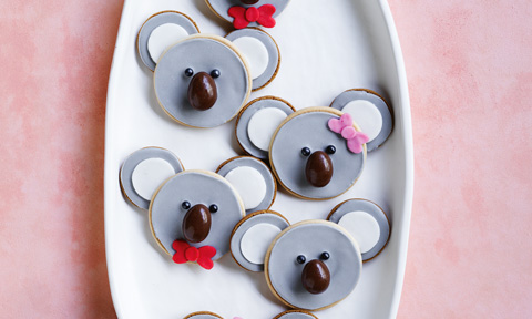 Easy Koala Biscuits