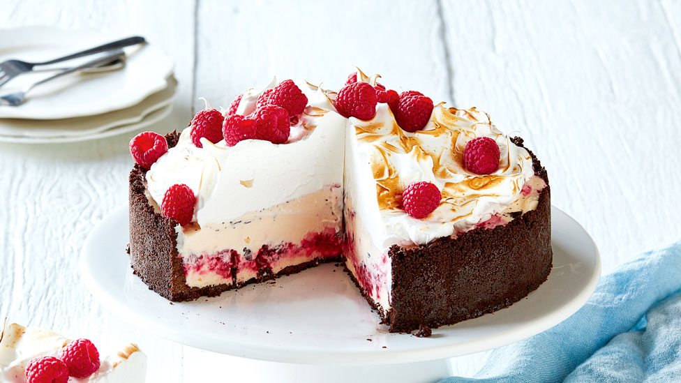 Curtis Stone's Raspberry and chocolate ripple ice-cream cake