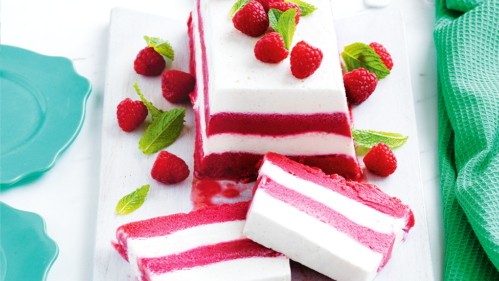 Layered yoghurt and raspberry sorbet cake